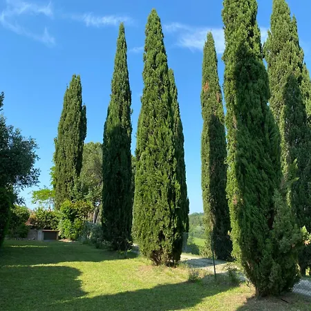 Tre Colli - In The Heart Of Tuscany *